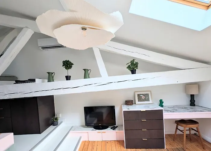 Cocon Sous Les Toits De Bordeaux