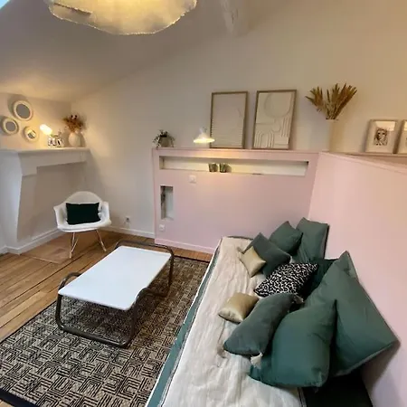 Cocon Sous Les Toits De ボルドー