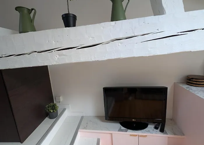 Apartment Cocon Sous Les Toits De Bordeaux